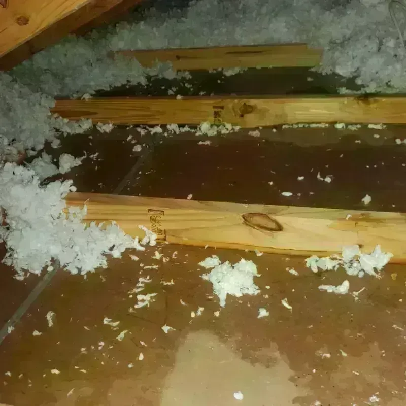 Attic Water Damage in Wolfhurst, OH