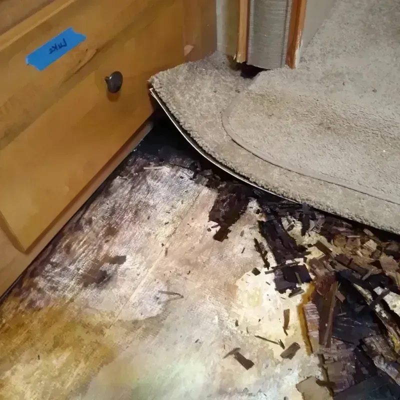 Wood Floor Water Damage in Wolfhurst, OH